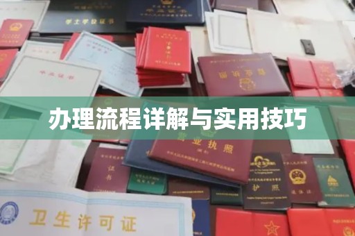 平阳办理流程详解与实用技巧