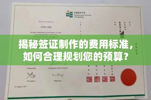 平阳揭秘签证制作的费用标准，如何合理规划您的预算？