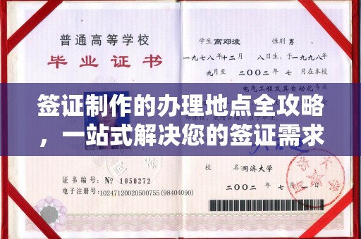平阳签证制作的办理地点全攻略，一站式解决您的签证需求