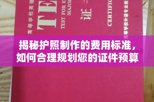 平阳揭秘护照制作的费用标准，如何合理规划您的证件预算