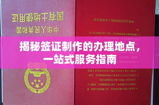 平阳揭秘签证制作的办理地点，一站式服务指南