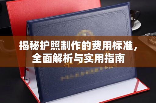平阳揭秘护照制作的费用标准，全面解析与实用指南