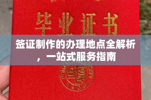 平阳签证制作的办理地点全解析，一站式服务指南