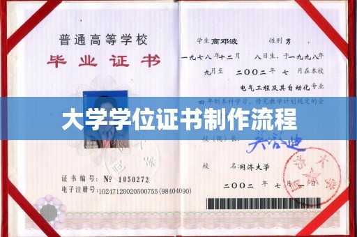 平阳大学学位证书制作流程