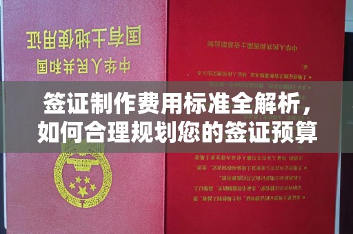 平阳签证制作费用标准全解析，如何合理规划您的签证预算？